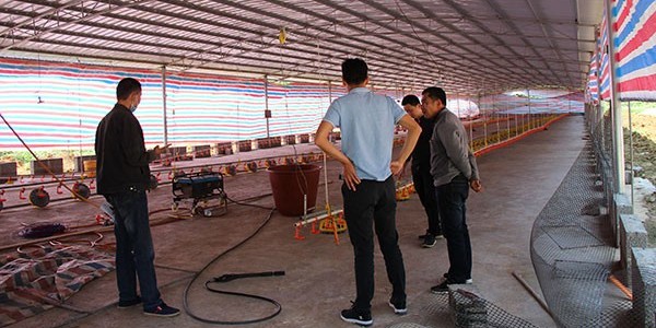 養雞場基地安裝負壓風機水簾墻用[ZLG理工]品質優，效果好